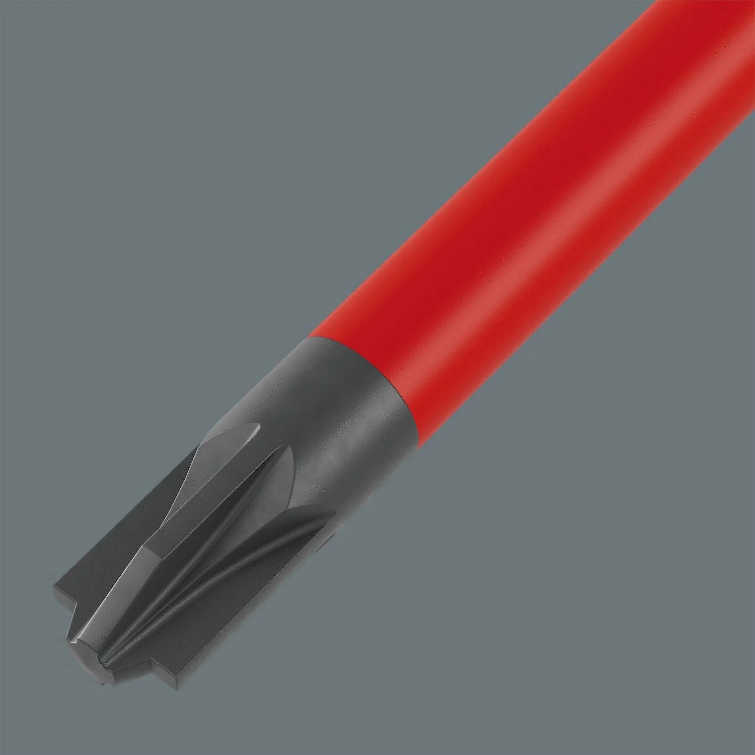 05006466001-WERA-40365312_3.jpg